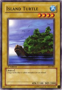Island Turtle