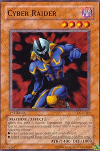 Cyer Raider